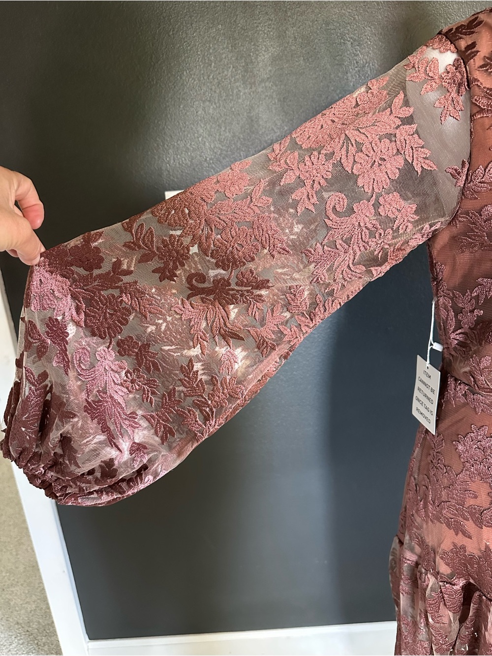 JOYFOLIE Bellana Dress in Rosette | Romantic Embroidered Mesh Maxi Dress | NWT - Picture 8 of 16
